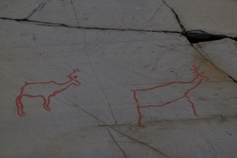 Alta Museum reindeer rock carvings
